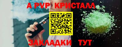крисы Кунгур